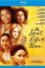 Watch The Secret Life of Bees Alluc