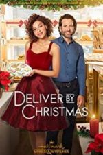 Watch Deliver by Christmas Alluc