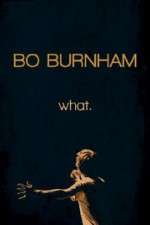 Watch Bo Burnham: what Alluc