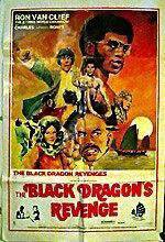 Watch The Black Dragon's Revenge Alluc