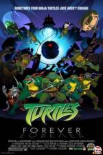 Watch Teenage Mutant Ninja Turtles Turtles Forever Alluc