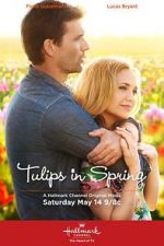 Watch Tulips in Spring Alluc