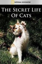 Watch The Secret Life of Cats Alluc