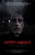 Watch Entity Project Alluc