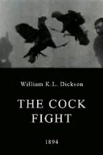 Watch The Cock Fight Alluc