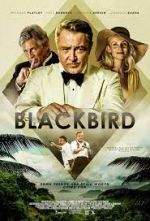 Watch Blackbird Alluc