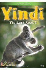 Watch Yindi the Last Koala Alluc