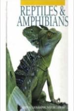 Watch Reptiles and Amphibians Alluc