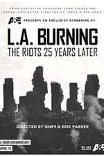 Watch LA Burning Alluc