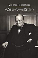 Watch Winston Churchill: Walking with Destiny Alluc