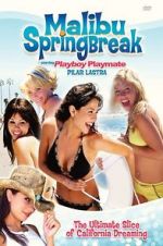 Watch Malibu Spring Break Alluc