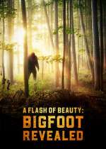 Watch A Flash of Beauty: Bigfoot Revealed Alluc