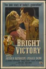 Watch Bright Victory Alluc