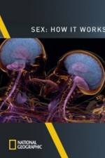 Watch Sex How It Works Alluc