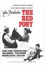 Watch The Red Pony Alluc