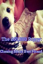 Watch The 60,000 Puppy: Cloning Man's Best Friend Alluc