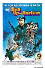 Watch Hell Up in Harlem Alluc