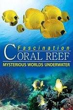 Watch Fascination Coral Reef: Mysterious Worlds Underwater Alluc