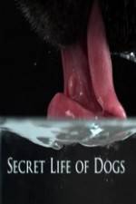 Watch Secret Life of Dog Alluc