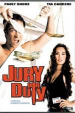 Watch Jury Duty Alluc
