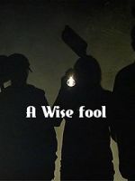 Watch A Wise Fool Alluc