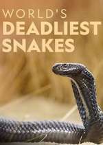 Watch World's Deadliest Snakes Alluc
