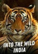 Watch Into the Wild India Alluc