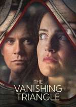 the vanishing triangle tv poster
