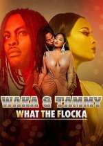 Watch Waka & Tammy: What the Flocka Alluc