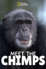 Watch Meet the Chimps Alluc