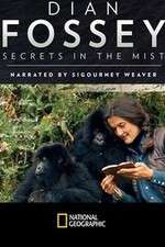 Watch Dian Fossey: Secrets in the Mist Alluc