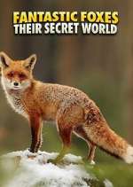 Watch Fantastic Foxes: Their Secret World Alluc