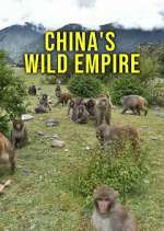 Watch China's Wild Empire Alluc