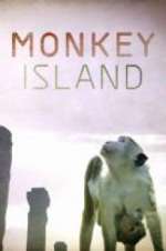 Watch Monkey Island Alluc