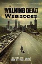 Watch The Walking Dead Webisodes Alluc