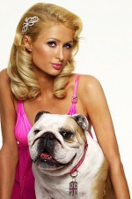 Watch Paris Hilton's British Best Friend Alluc