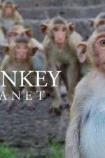 Watch Monkey Planet Alluc