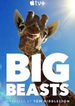 Watch Big Beasts Alluc