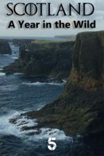Watch Scotland: A Wild Year Alluc