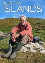 Our Tiny Islands alluc