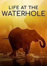 Watch Life at the Waterhole Alluc