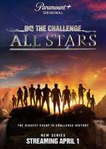 the challenge: all stars tv poster
