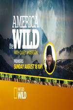 Watch America the Wild Alluc
