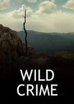 Watch Wild Crime Alluc
