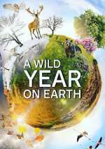 Watch A Wild Year on Earth Alluc