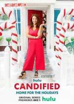 Watch Candified: Home for the Holidays Alluc