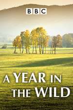 Watch A Year in the Wild Alluc
