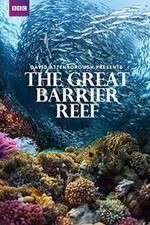 Watch Great Barrier Reef with David Attenborough Alluc