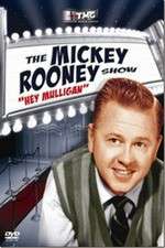 Watch The Mickey Rooney Show Alluc