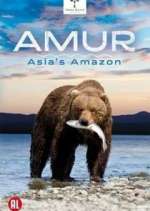 Watch Amur Asia's Amazon Alluc